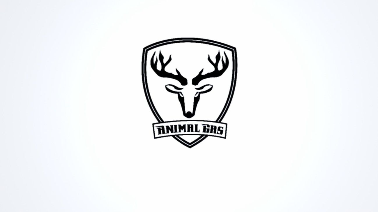 Imagen de perfil de AnimalGasMC