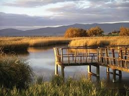 Imágenes del punto de interés Tablas de Daimiel